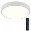 Накладной светильник Natali Kovaltseva LED LAMPS 81112/5C