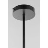 Люстра на штанге Lampit FINO TP 2007-4 BK