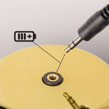 Настольная лампа декоративная Loft it Brothers 10233/D Gold-9