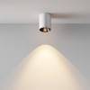 Накладной светильник Maytoni Alfa LED C064CL-8W3K-RD-WB