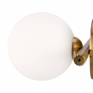 Бра Freya Blossom FR5259WL-01BS-5