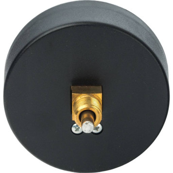 Термоманометр аксиальный Watts FR 818 TMAX 10x1/2, 80 мм, 0-10 бар-3