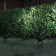 Наземный низкий светильник ST-Luce Yardo SL9014.415.01