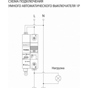 Автоматический выключатель 1P с Wi-Fi Werkel W1001P6301-3