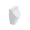 Catalano Comfort Писсуар 64x32см., с отв. для крышки, цвет: белый глянцевый. 0932641001, 0954010000, 0954500000, 9056120000