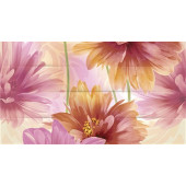 Dec Astra Panno B КПН16AstraB 25х45