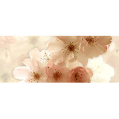 Dec Manzano Panno B 20х50