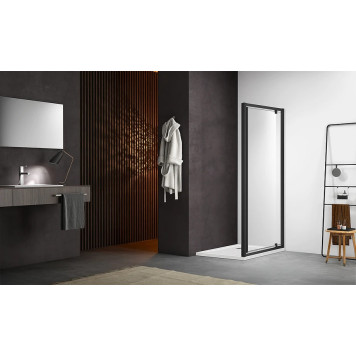 AQ ARI PI 09020BL Душевая дверь, распашная 900x2000 профиль черный, стекло прозрачное AQ ARI PI 09020BL-1
