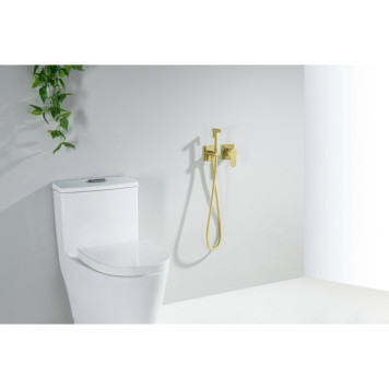 AQ1220BG ОБЕРОН комплект для гигиенического душа встроенный 2 отв. (смеситель + гигиеническая лейка + шланг), шлиф. золото AQ1220BG-2