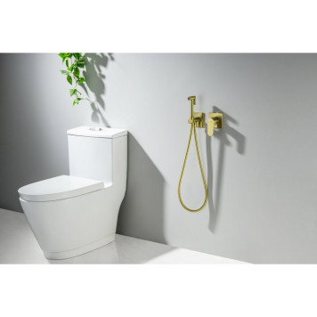 AQ1220BG ОБЕРОН комплект для гигиенического душа встроенный 2 отв. (смеситель + гигиеническая лейка + шланг), шлиф. золото AQ1220BG-3