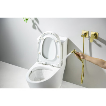 AQ1220BG ОБЕРОН комплект для гигиенического душа встроенный 2 отв. (смеситель + гигиеническая лейка + шланг), шлиф. золото AQ1220BG-4