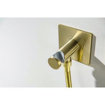 AQ1220BG ОБЕРОН комплект для гигиенического душа встроенный 2 отв. (смеситель + гигиеническая лейка + шланг), шлиф. золото AQ1220BG-7