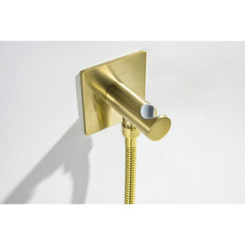 AQ1220BG ОБЕРОН комплект для гигиенического душа встроенный 2 отв. (смеситель + гигиеническая лейка + шланг), шлиф. золото AQ1220BG-8