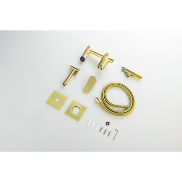 AQ1220BG ОБЕРОН комплект для гигиенического душа встроенный 2 отв. (смеситель + гигиеническая лейка + шланг), шлиф. золото AQ1220BG-9