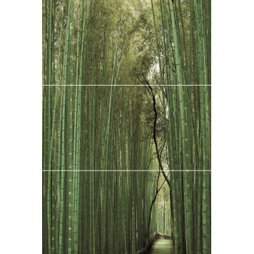 Bambu Панно (из 3-х плиток ) D/E/F 50х75