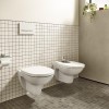 Roca Debba Round Унитаз подвесной 35x54см, безободковый, цвет: белый. 7.3469.9.800.0