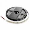 Лента светодиодная Apeyron Electrics Эконом smd 2835 LSE-151