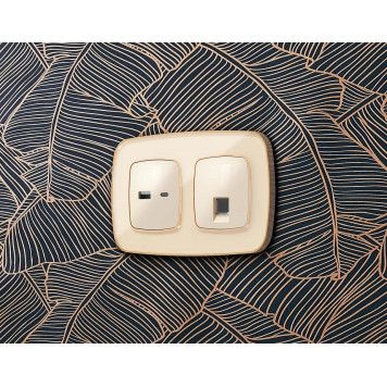 Розетка Ethernet RJ-45 и со шторками, без рамки Ambrella Volt OMEGA MO312005-1