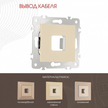 Розетка для вывод кабеля без рамки Arte Milano am-203 203.49-1.shampan-1