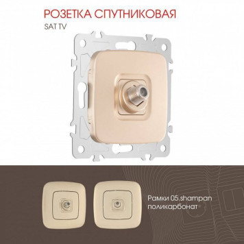 ТВ-розетка без рамки Arte Milano am-205 205.42-1.shampan-1