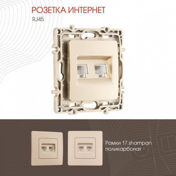 Розетка Ethernet RJ-45 без рамки Arte Milano am-217 217.45-2.shampan-1