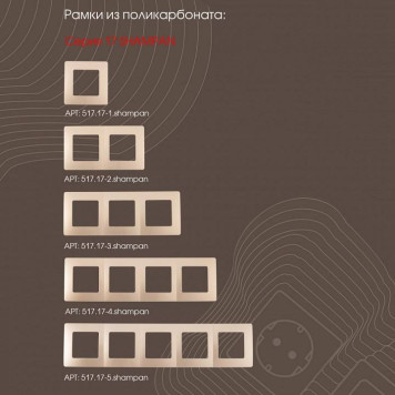 Розетка Ethernet RJ-45 без рамки Arte Milano am-217 217.45-2.shampan-2