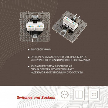 Розетка Ethernet RJ-45 без рамки Arte Milano am-217 217.45-2.shampan-3