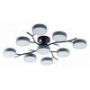Потолочная люстра Arte Milano Ferrara 256606/8+1 Bk/Gr