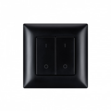 Выключатель двухклавишный Arlight INTELLIGENT 050446-1