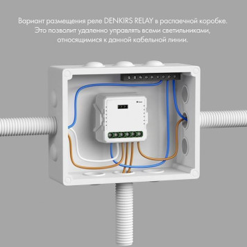 Контроллер-диммер Wi-Fi для смартфонов и планшетов Denkirs Relay RL1003-DM-1