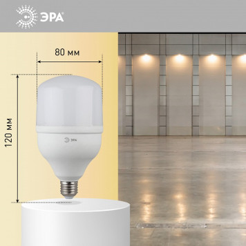 Лампа светодиодная Эра Стандарт LED POWER T80-20W-2700-E27-7