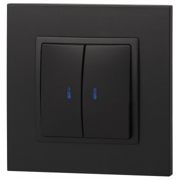 Выключатель двухклавишный с подсветкой без рамки Эра Эра Elegance 14-1105-05-4