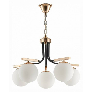 Подвесная люстра EVOLUCE Sonco SLE106803-05-1