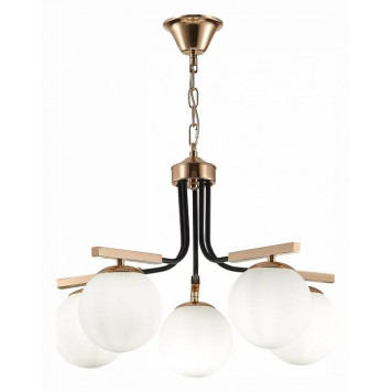 Подвесная люстра EVOLUCE Sonco SLE106803-05-2