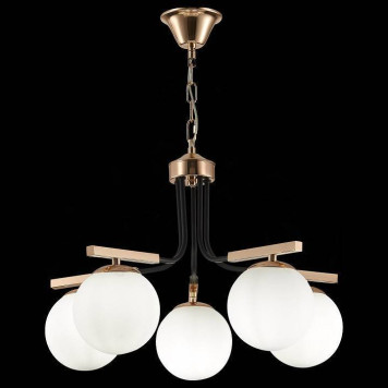 Подвесная люстра EVOLUCE Sonco SLE106803-05-3