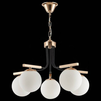 Подвесная люстра EVOLUCE Sonco SLE106803-05-4