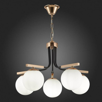 Подвесная люстра EVOLUCE Sonco SLE106803-05-5