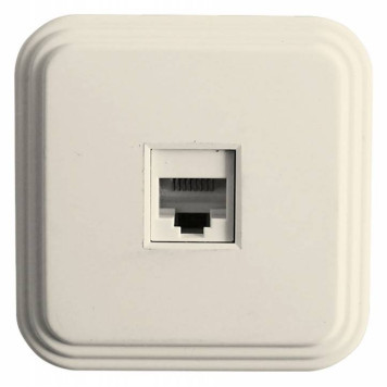 Розетка Ethernet RJ-45 Stekker Брест 49062