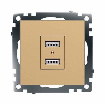 Розетка USB, без рамки Stekker Катрин 49229-1