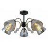 Люстра на штанге ILLUMICO IL0230-5CSQ-29 BK AB
