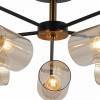 Люстра на штанге ILLUMICO IL8248-5COU-79 BK GD