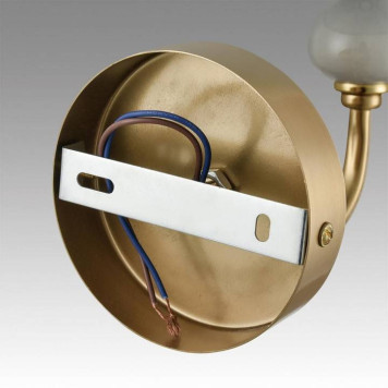 Бра Lumion Anri 6590/1W-5