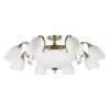 Люстра на штанге MyFar Ceiling MR1524-11C