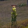 Наземный высокий светильник Odeon Light LIANA 7108/15GLA