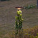 Наземный высокий светильник Odeon Light LIANA 7108/15GLA
