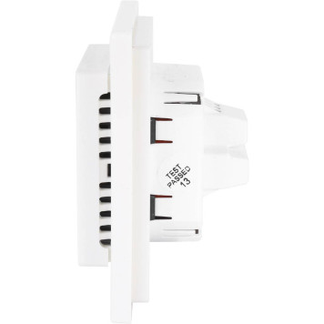 Терморегулятор THERMO THERMOREG TI-300 (TI-300)-1