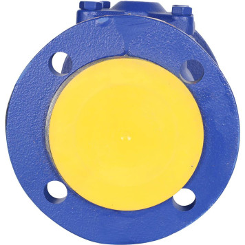 Клапан обратный Zetkama 287A065C31 из чугуна Ду65 Ру16 Tmax=300°C-2