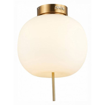 Накладной светильник ST-Luce Lacus SL1621.202.01-1