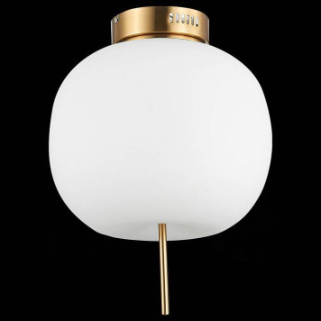 Накладной светильник ST-Luce Lacus SL1621.202.01-4