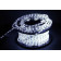 Шнур световой Sneha 13-2W-100M-24V-LED-U WT